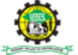 UNES club badge