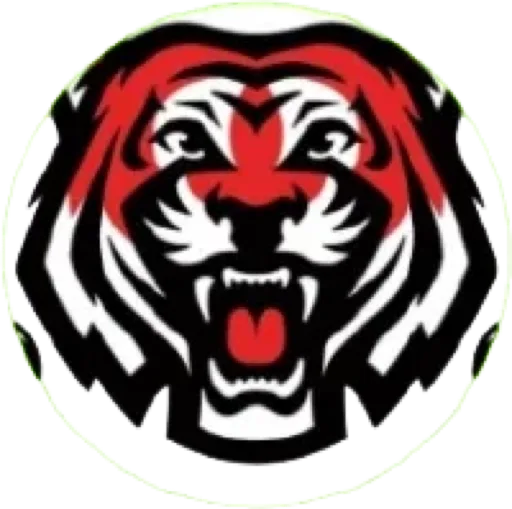 Amazon Tigers club badge