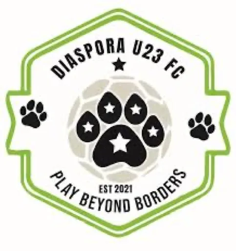 Diaspora Soccer Academy club badge