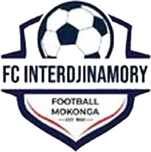 FC Interdjinamory club badge