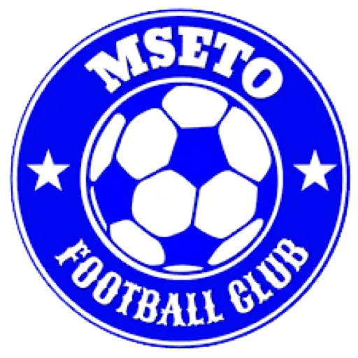 Mseto FC club badge