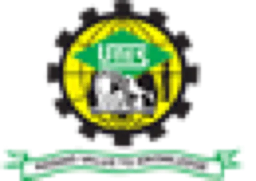 UNES club badge